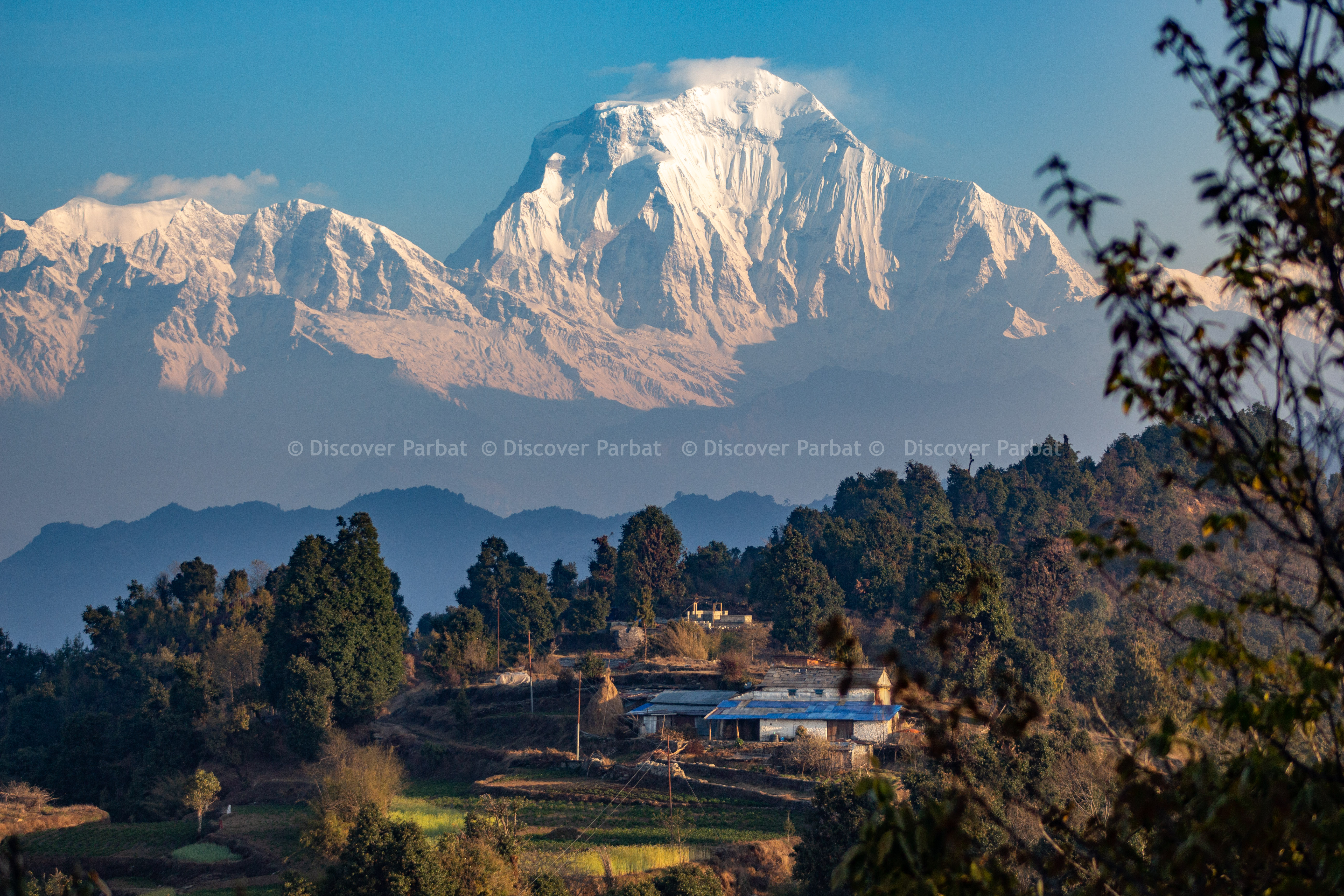 Kokhe Danda